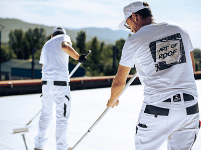 About Roof Inspectors